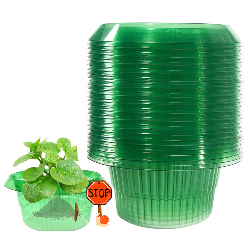 5-25Pcs Plants Slug Protection - Smart Home Green reseña y precio