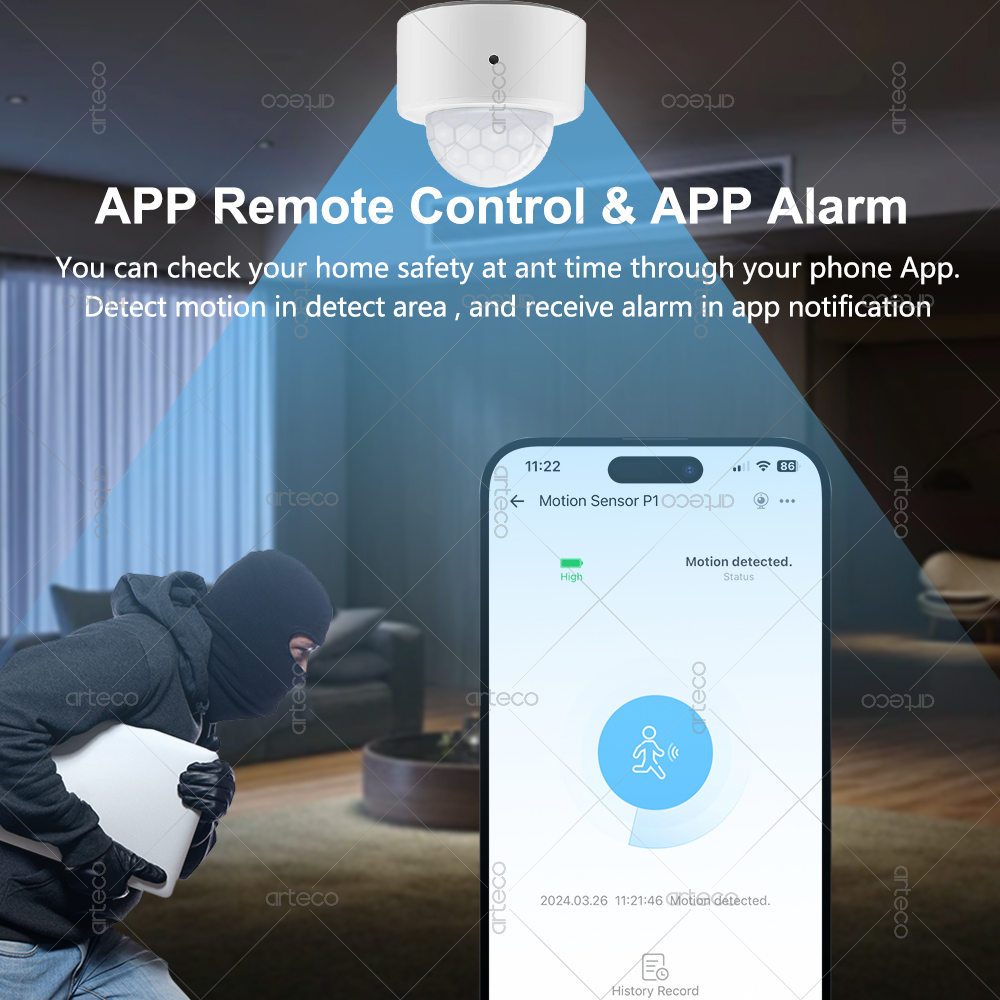 Ewelink Zigbee PIR Motion Sens - Smart Home Security reseña y precio