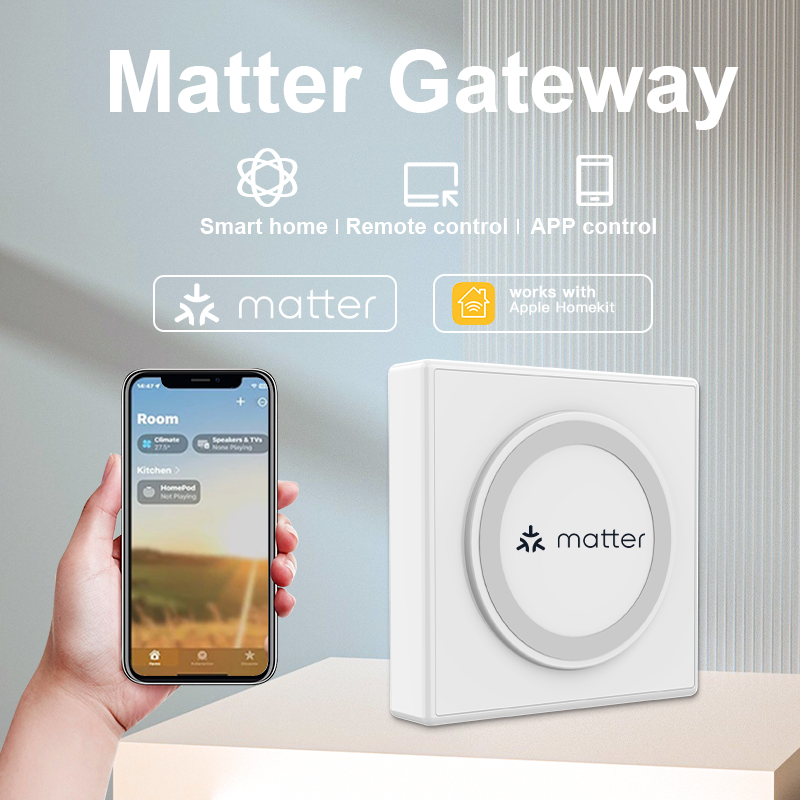 Matter Gateway Hub Homekit Tuy - Smart Home Wifi Hub reseña y precio