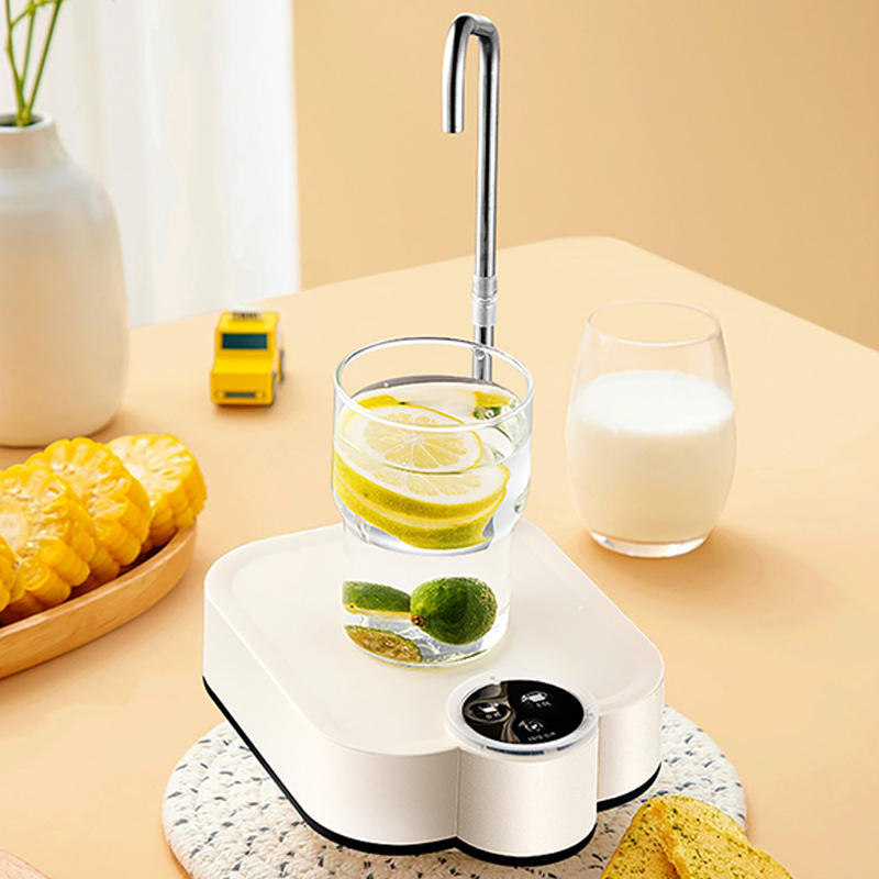 Smart Electric Water Pump Rech - Home Smart Kettle reseña y precio