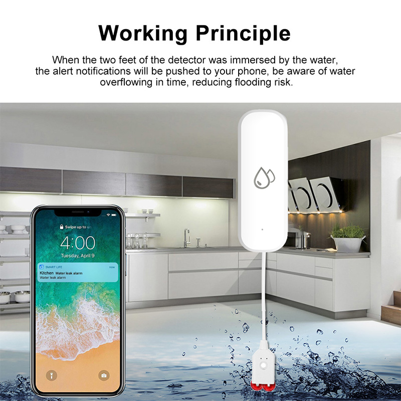 Tuya WiFi Water Leakage Alarm  - Smart Home Green reseña y precio