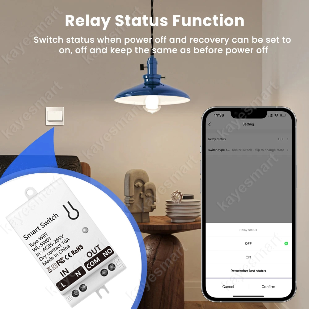 Tuya WiFi Smart Switch Module  - Smart Home Assistant reseña y precio