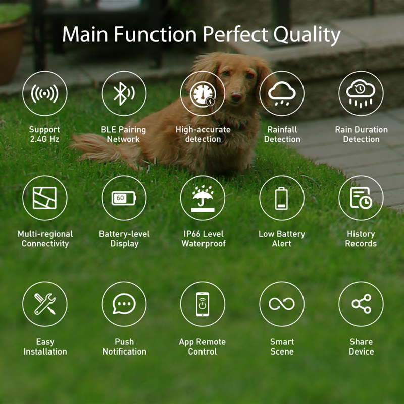 WiFi Rain Sensor Rainfall Dura - Smart Home Green reseña y precio