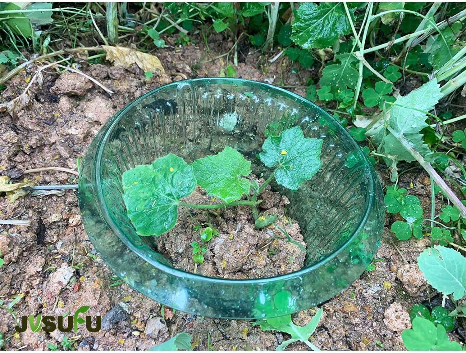 1/30pcs Plants Slug Protection - Smart Home Green reseña y precio