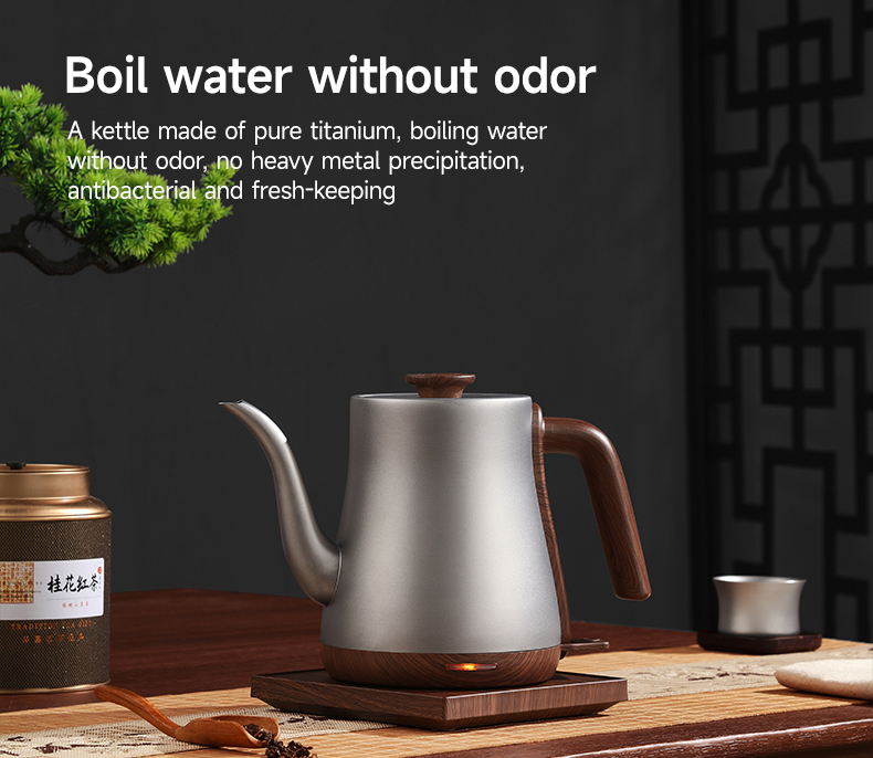 Morden Style Pure Titanium Ele - Home Smart Kettle reseña y precio