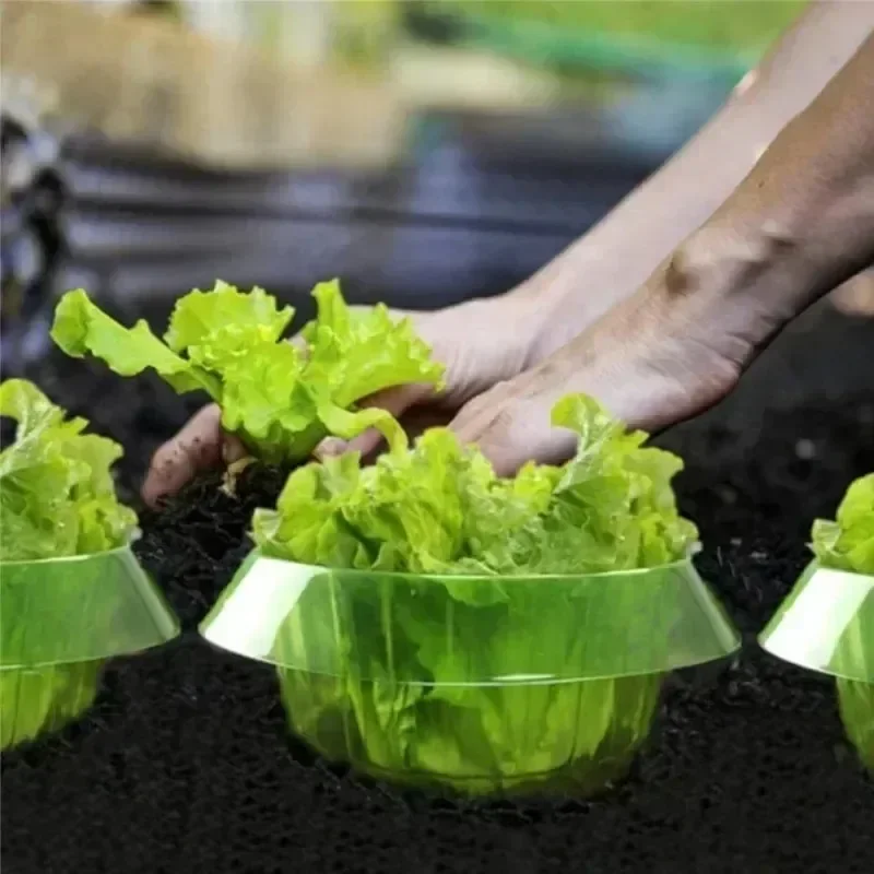 Plants Slug Protection Rings V - Smart Home Green reseña y precio