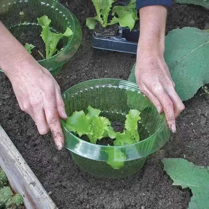 Plants Slug Protection Rings V - Smart Home Green reseña y precio