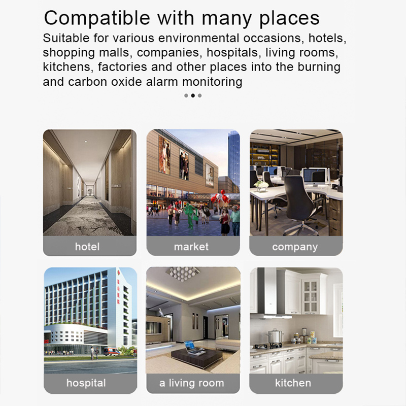 Wifi CH4 Natural Gas Leak Sens - Smart Home Kitchen reseña y precio