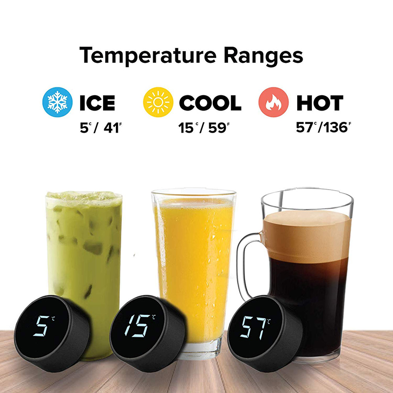 Stainless Steel Smart Water Bo - Home Smart Kettle reseña y precio