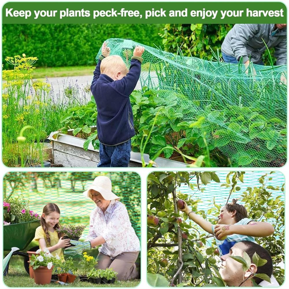 Protect Plants and Fruit Bird  - Smart Home Green reseña y precio
