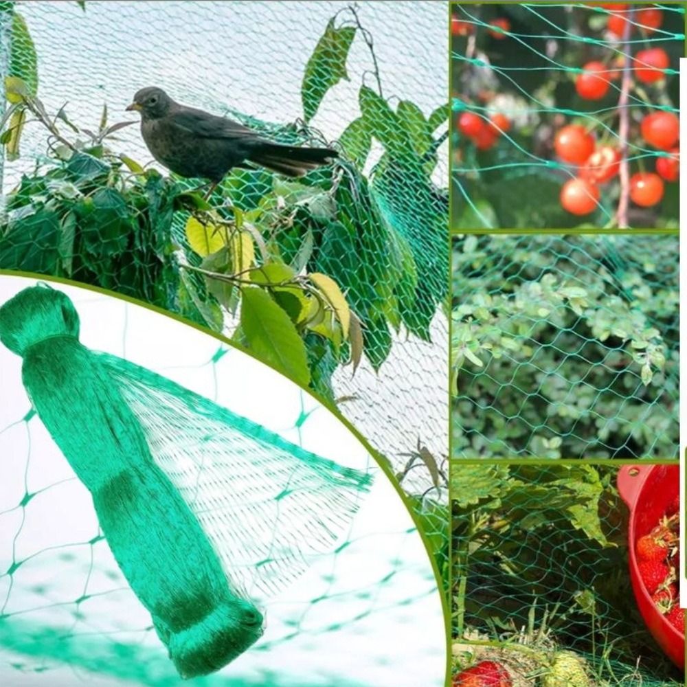 Protect Plants and Fruit Bird  - Smart Home Green reseña y precio