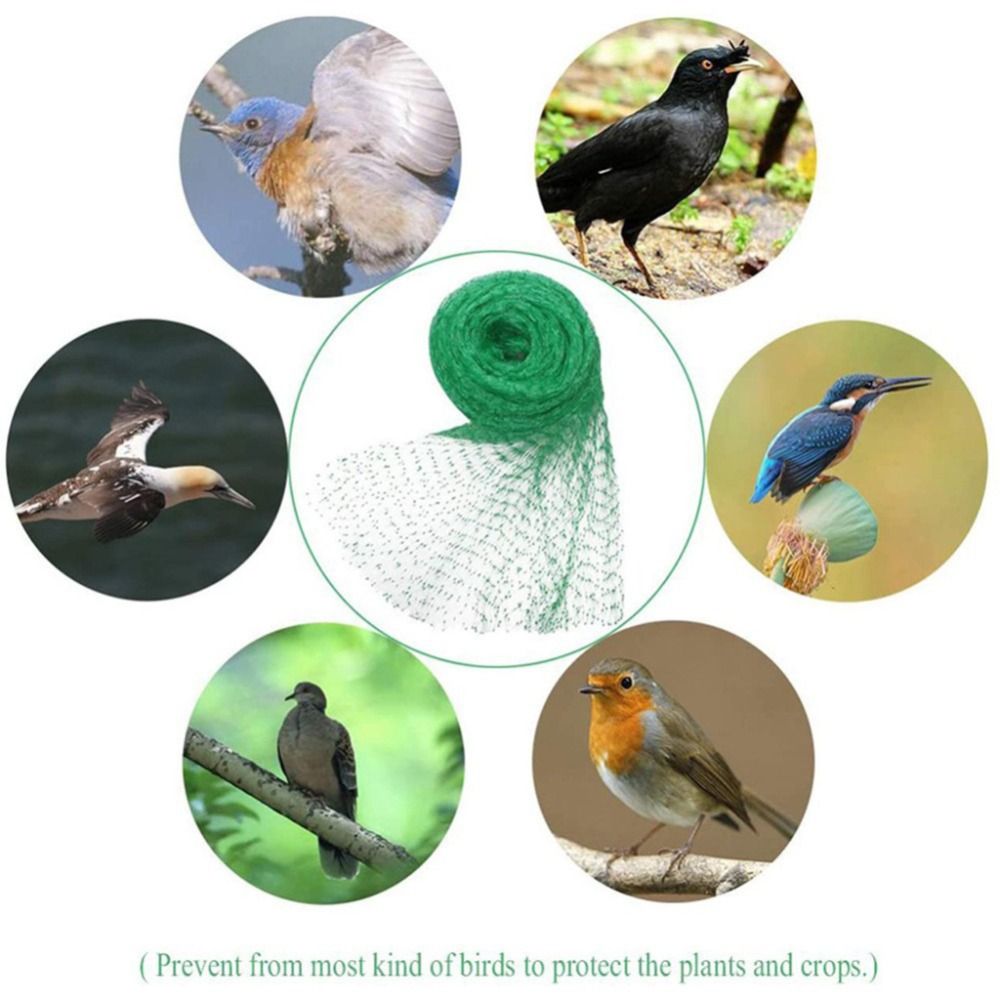 Protect Plants and Fruit Bird  - Smart Home Green reseña y precio