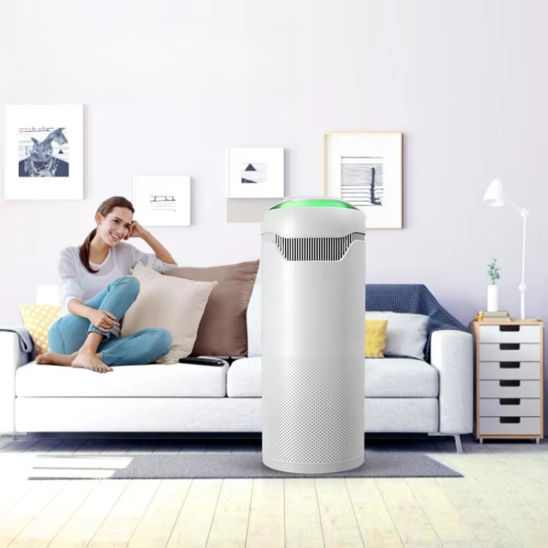Smart Home Air Purifier with H - Smart Home Room reseña y precio