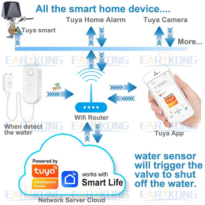 Tuya WiFi Smart Water Leak Sen - Smart Home Green reseña y precio