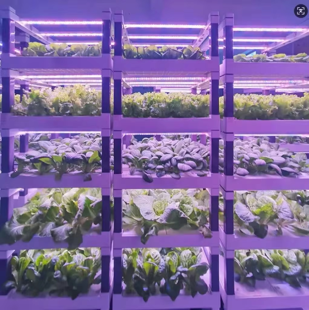 Hydroponic Grow System Greenho - Smart Home Devices reseña y precio